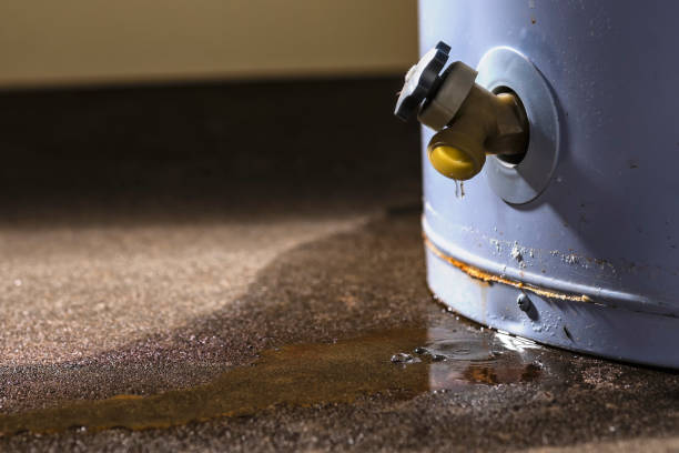 Best Water damage restoration near me  in Byron Center, MI