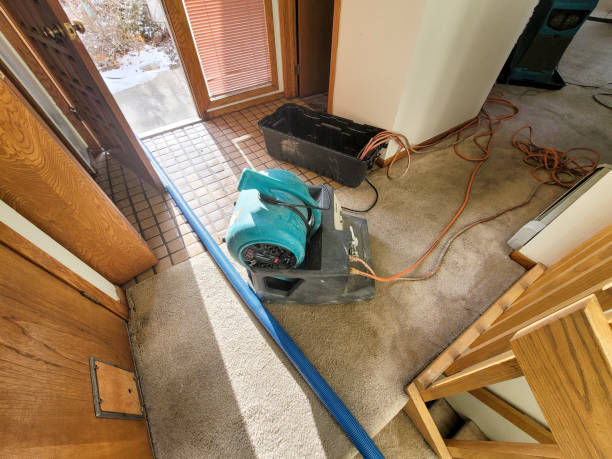 Best Local water damage restoration  in Byron Center, MI