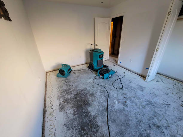 Best Professional water damage repair  in Byron Center, MI