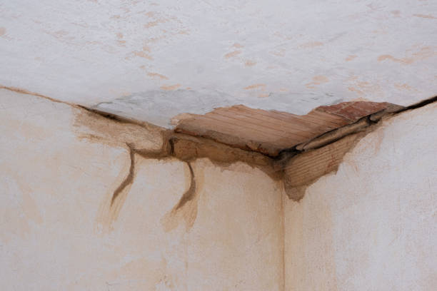Best Flood restoration services  in Byron Center, MI