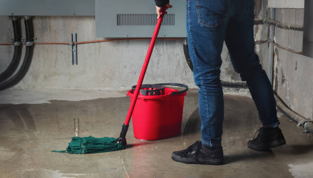 Best Flooded house restoration  in Byron Center, MI