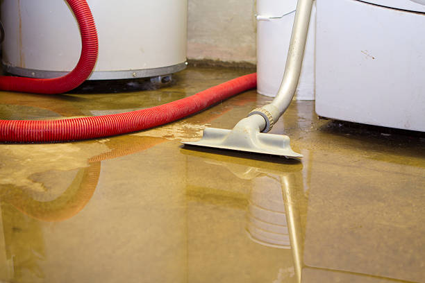 Best Water damage restoration cost  in Byron Center, MI